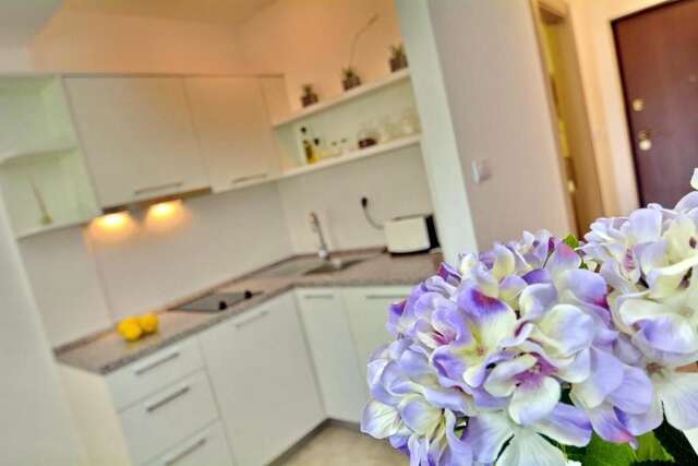 Апартаменты Dimitris Apartments Тиват-55