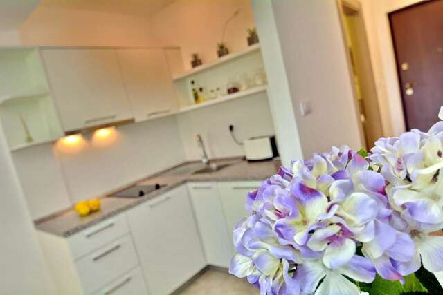 Апартаменты Dimitris Apartments Тиват-11